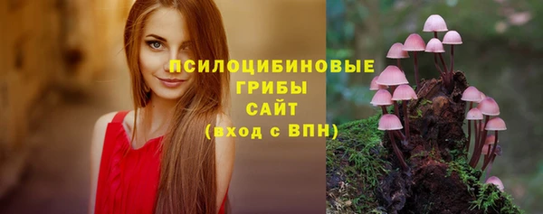 индика Пересвет