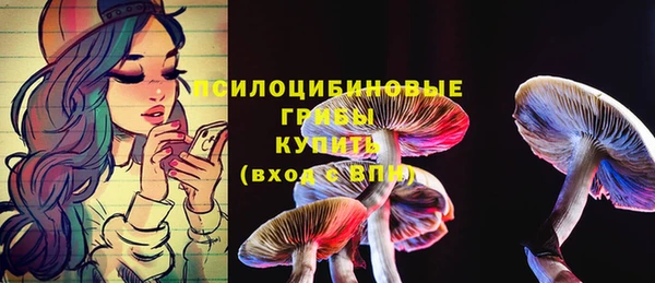 винт Абинск